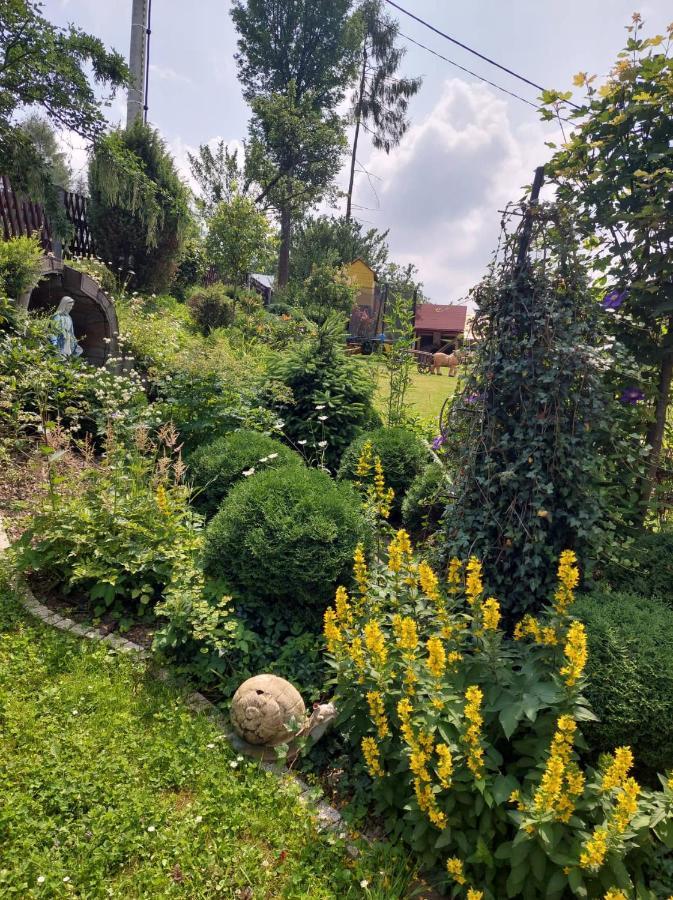 Noclegi U Ilony Czarna Gora Exterior photo